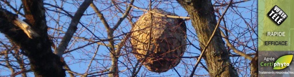 iratech france sur France 3