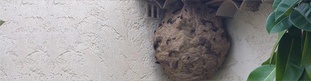 Lutte anti nuisibles Iratech France