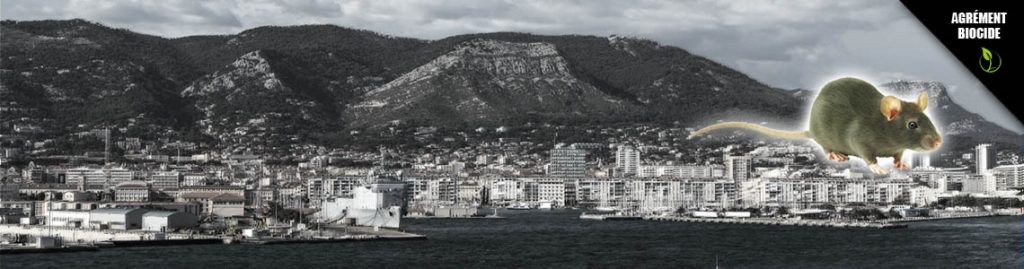 Iratech France, lutter contre les rongeurs