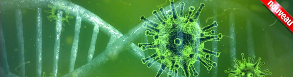 Intervention désinfection Covid 19