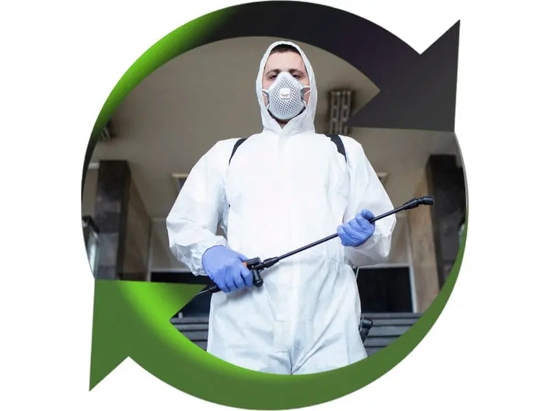 Iratech France : désinfection nuisibles Toulon