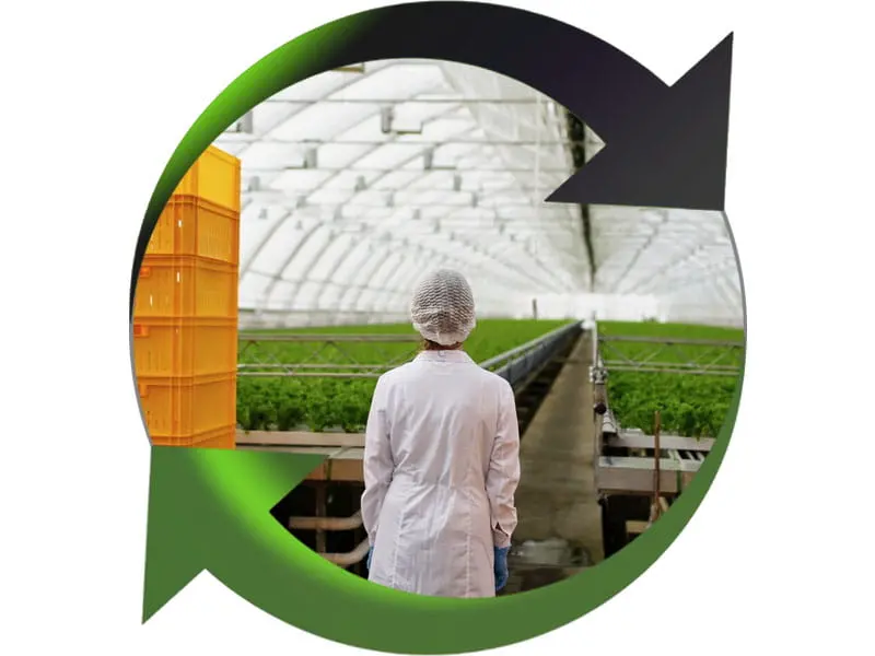 Iratech France : intervention nuisible industrie agroalimentaire