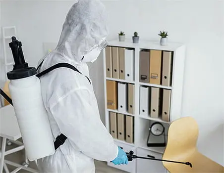 Intervention rats entreprise Var