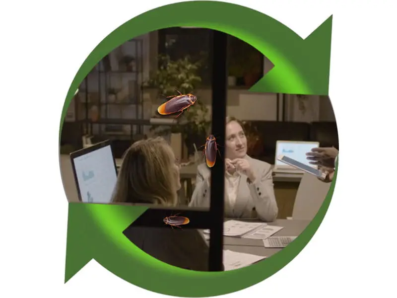 Intervention nuisibles en entreprise